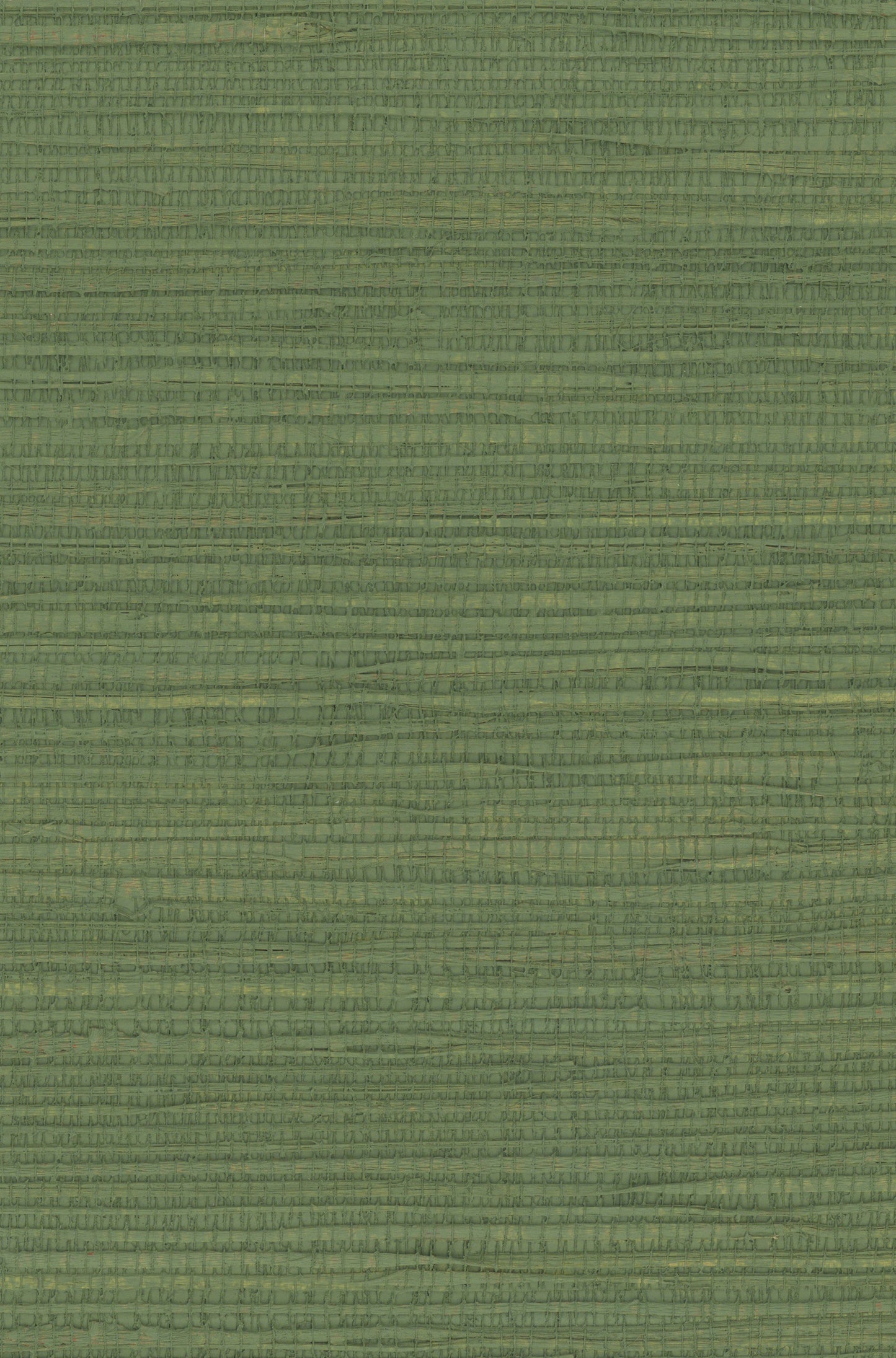 Hemp 1041 Elm Green natural wallcovering swatch