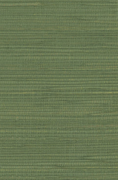 Hemp 1041 Elm Green