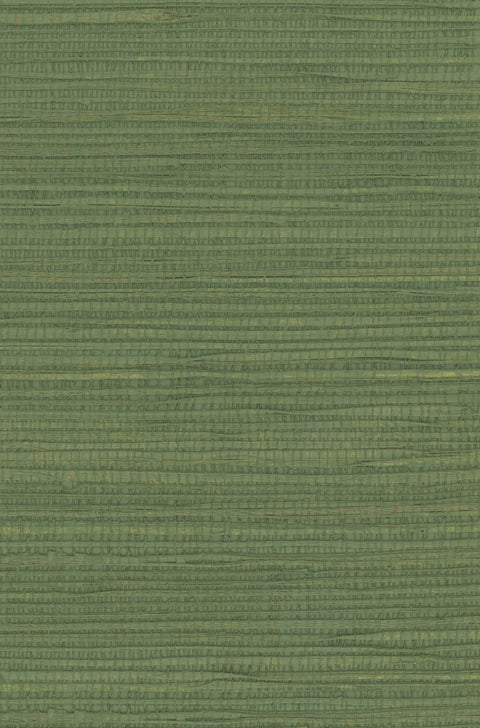 Hemp 1041 Elm Green