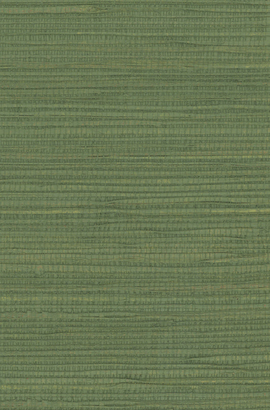 Hemp 1041 Elm Green natural wallcovering swatch