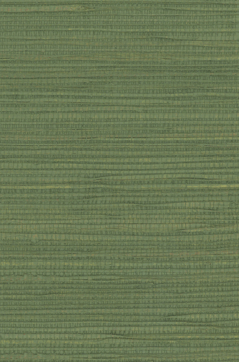 Hemp 1041 Elm Green natural wallcovering swatch