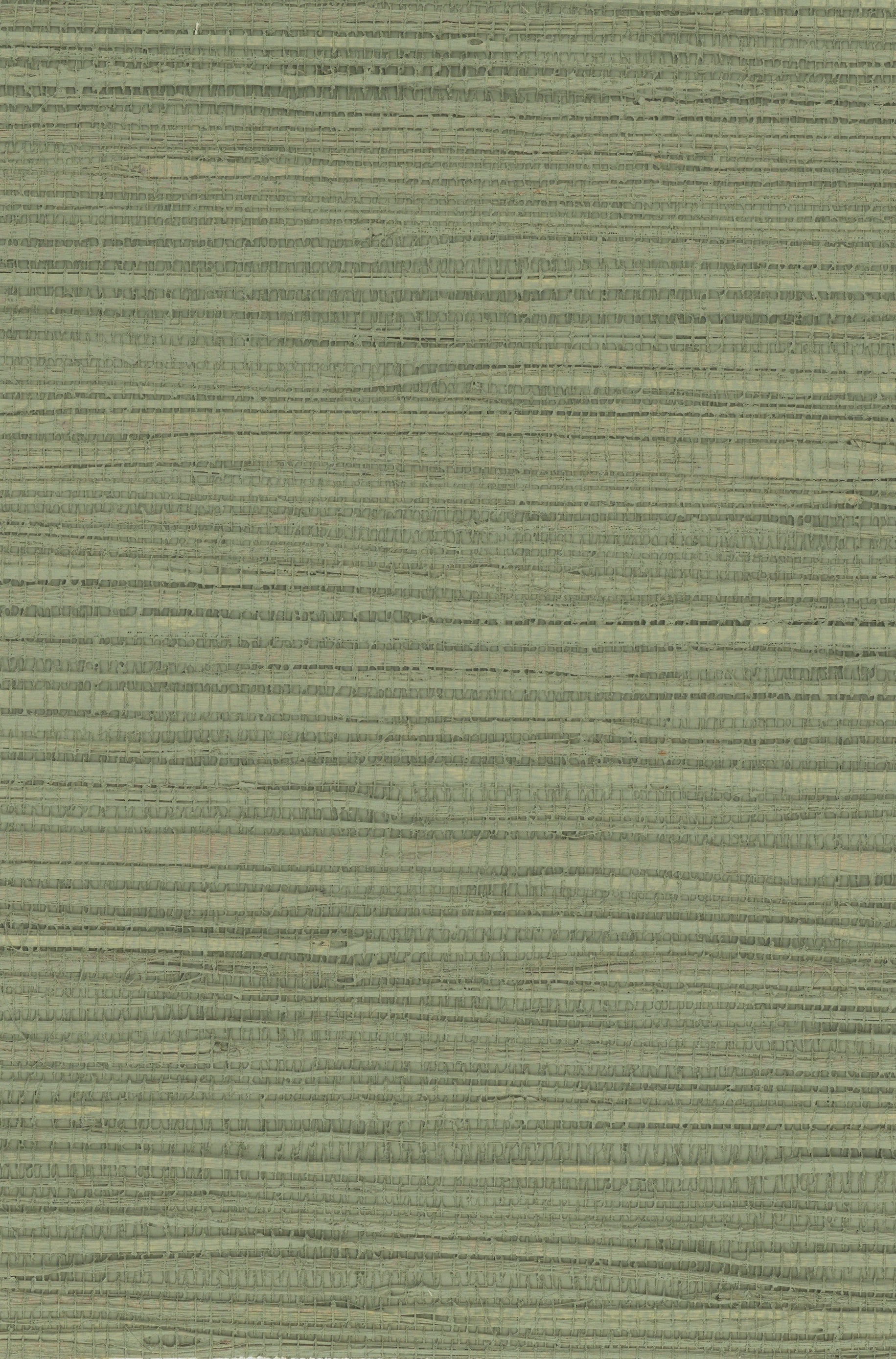 Hemp 1043 Basil natural wallcovering swatch