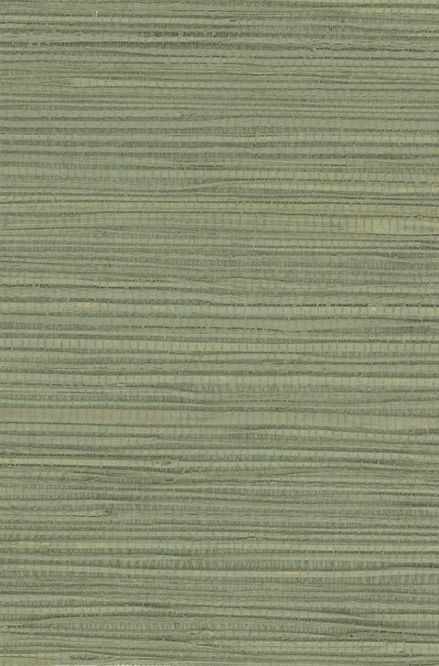 Hemp 1043 Basil