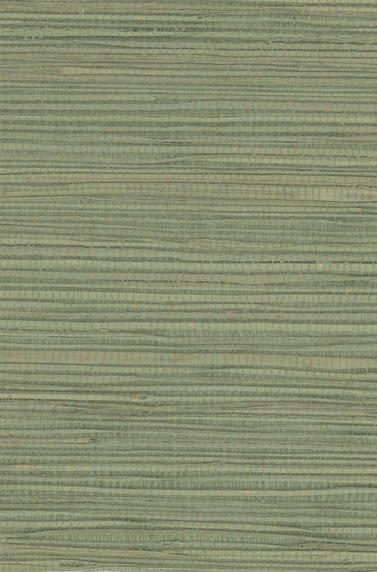 Hemp 1043 Basil natural wallcovering swatch