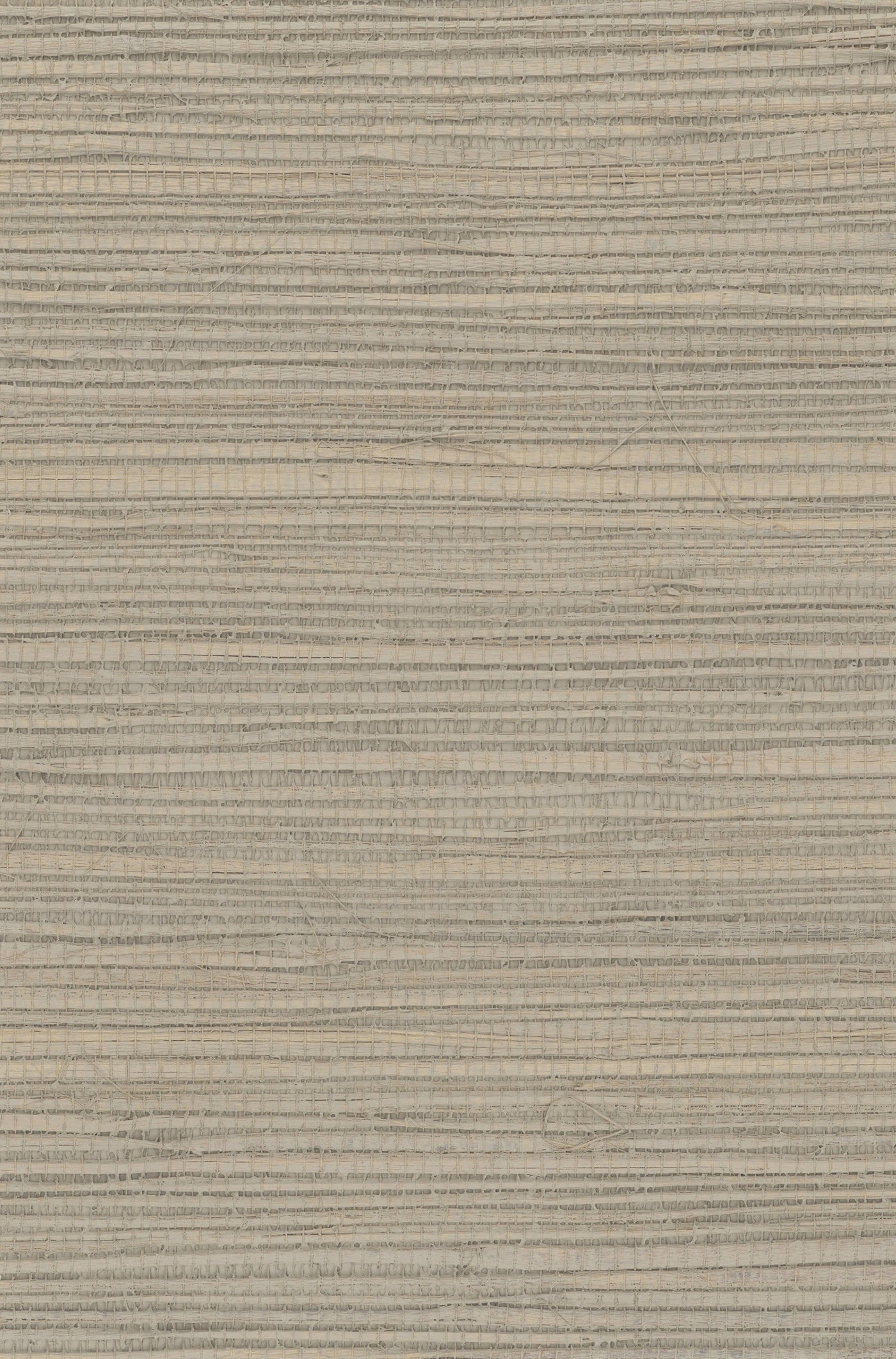 Hemp 1051 Lrish Cream natural wallcovering swatch