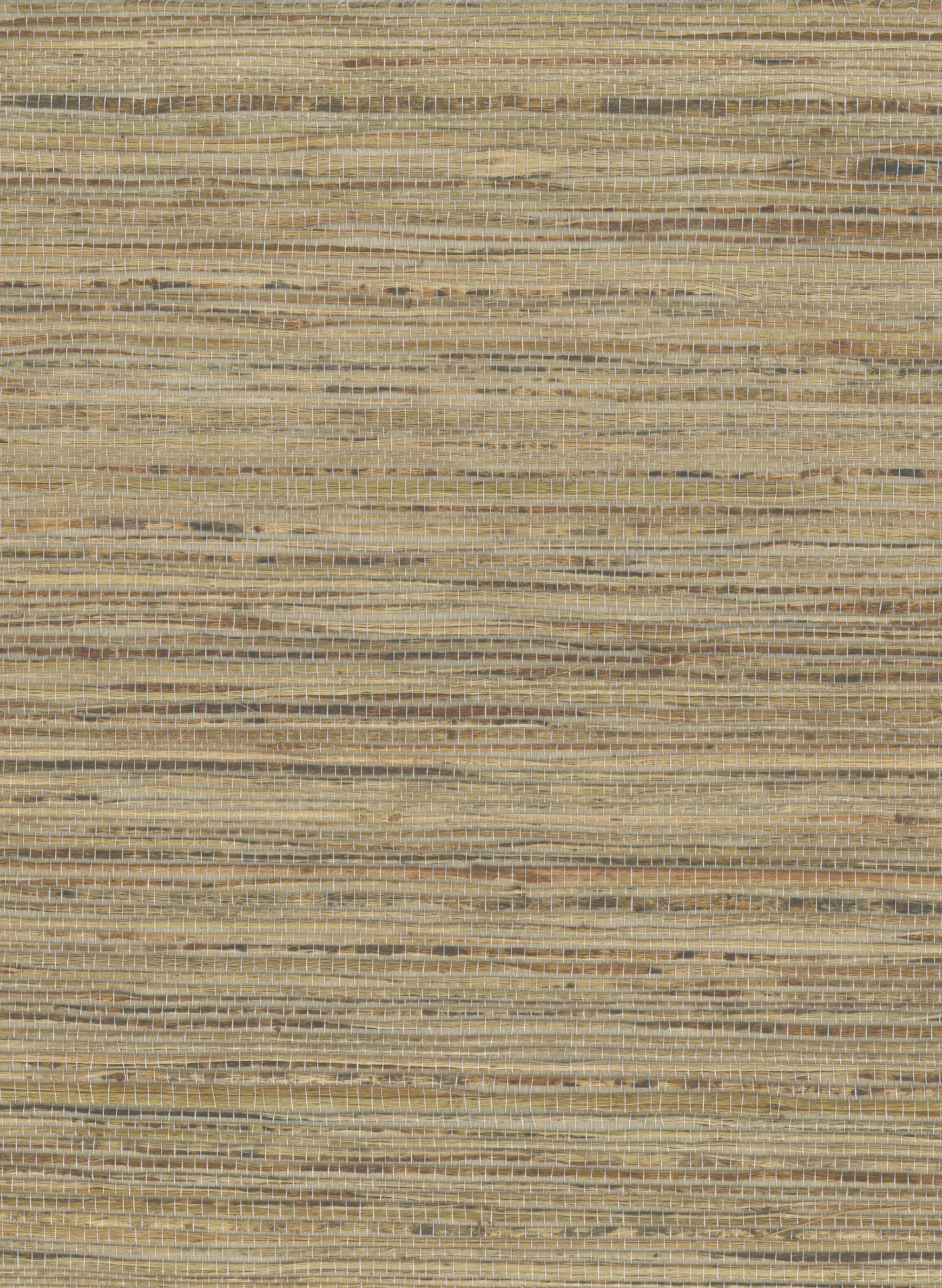 Hemp 1053 Angora natural wallcovering swatch