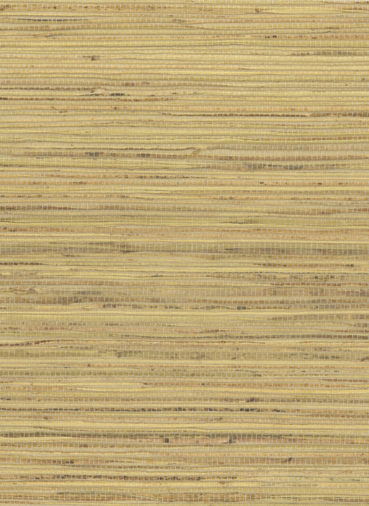 Hemp 1054 Banana Crepe natural wallcovering swatch
