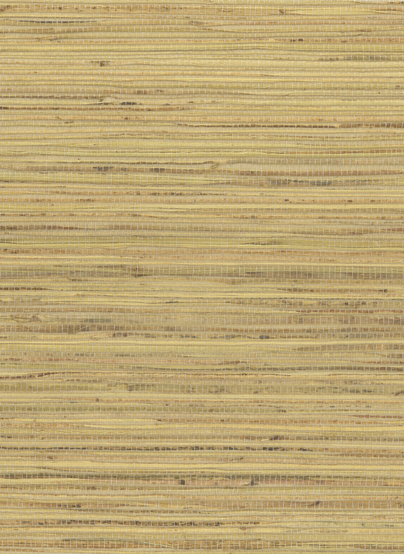 Hemp 1054 Banana Crepe natural wallcovering swatch