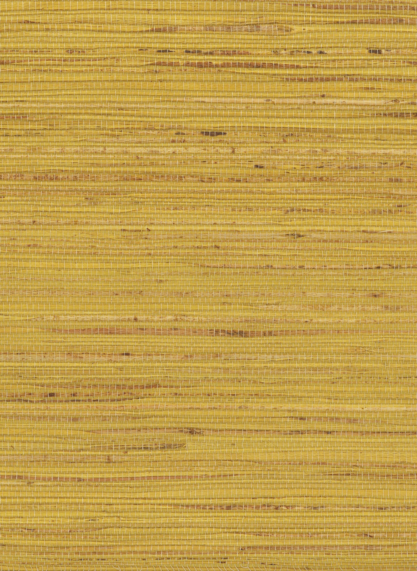 Hemp 1056 Ceylon Yellow natural wallcovering swatch