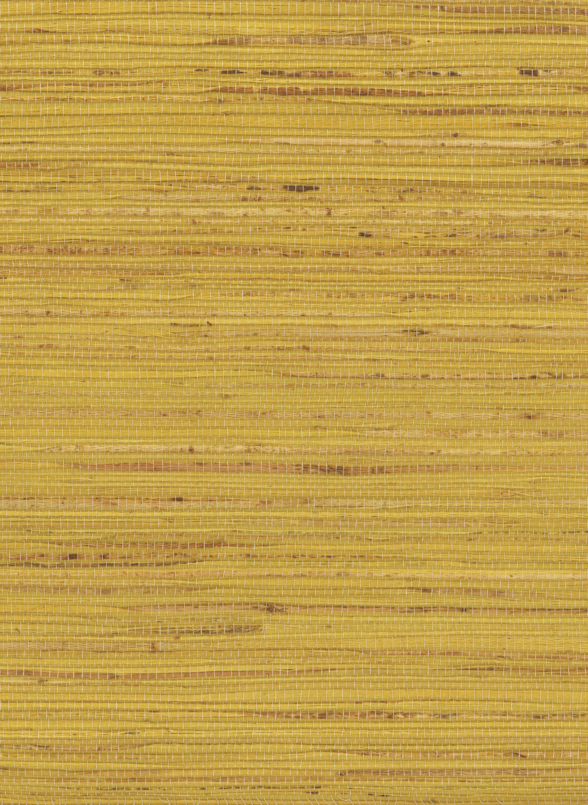 Hemp 1056 Ceylon Yellow natural wallcovering swatch