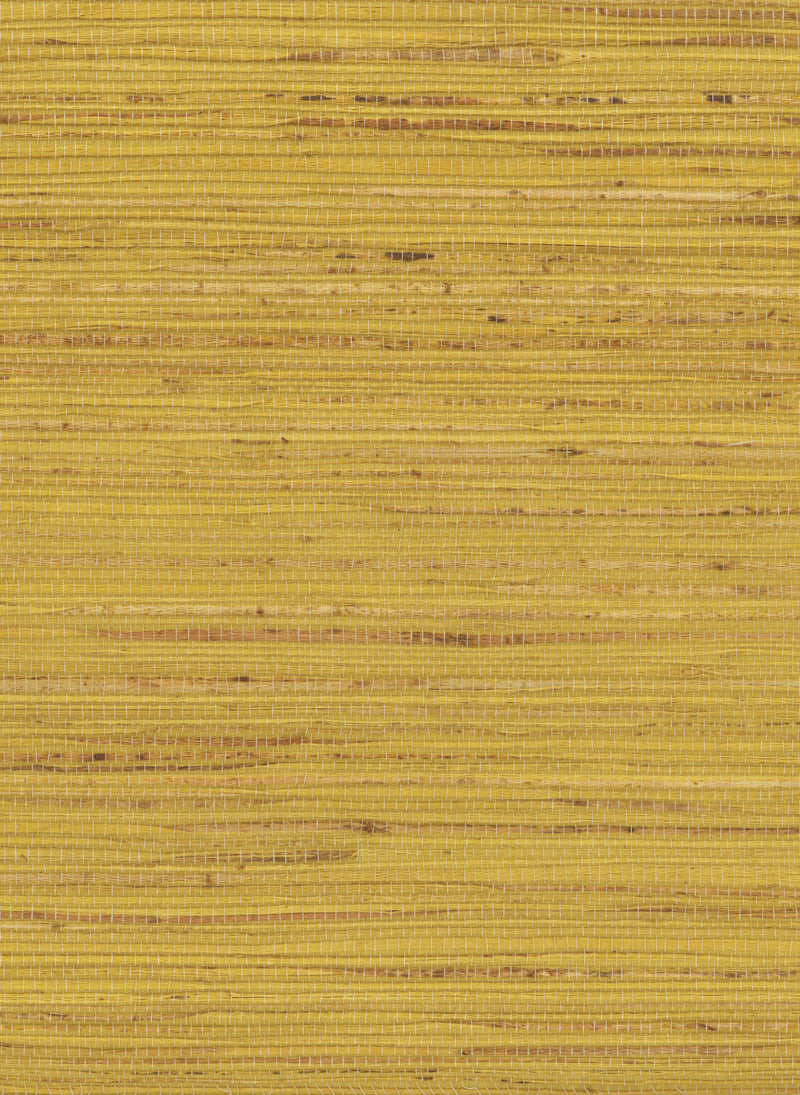 Hemp 1056 Ceylon Yellow natural wallcovering swatch