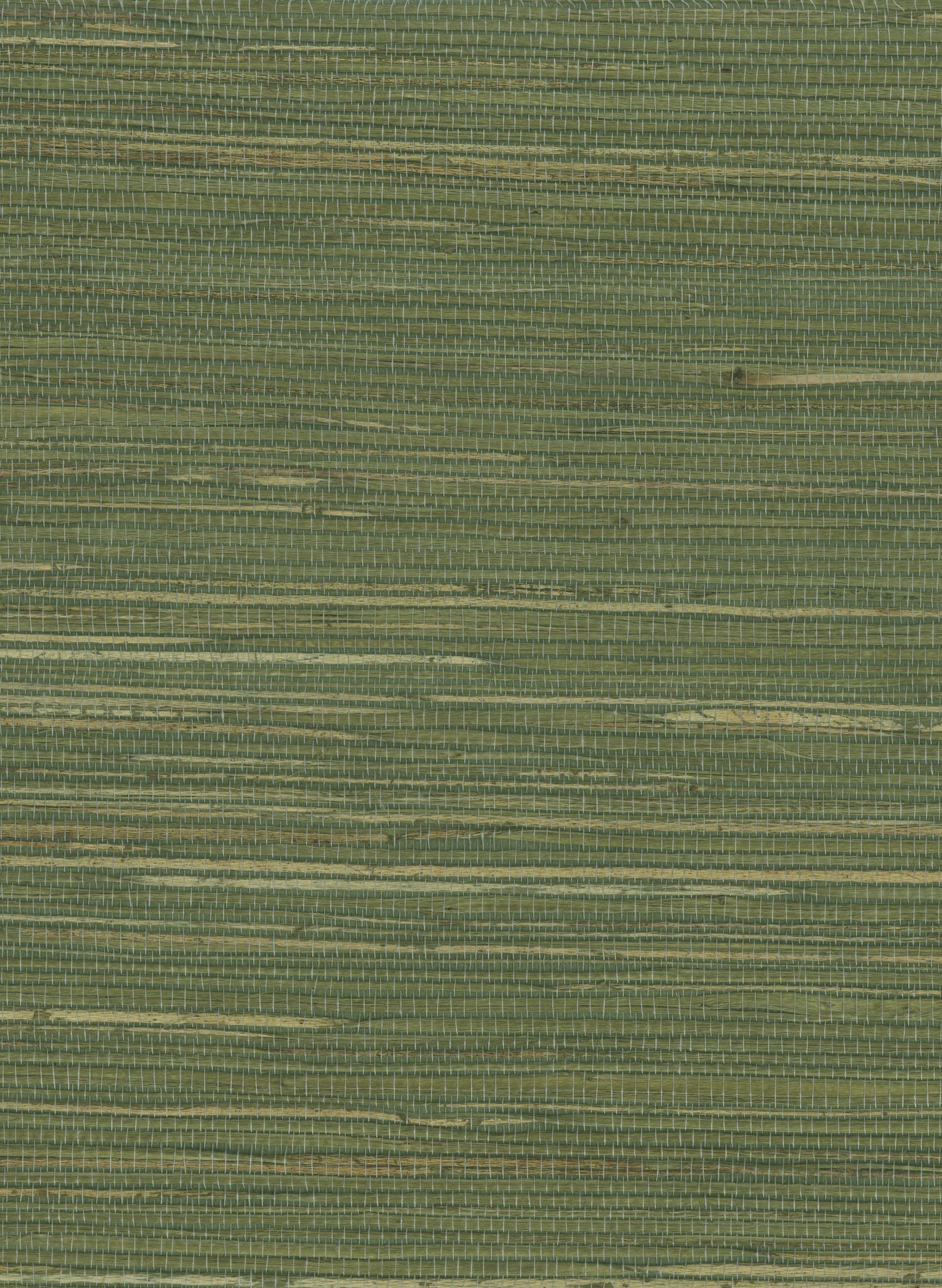 Hemp 1061 Dried Herb natural wallcovering swatch