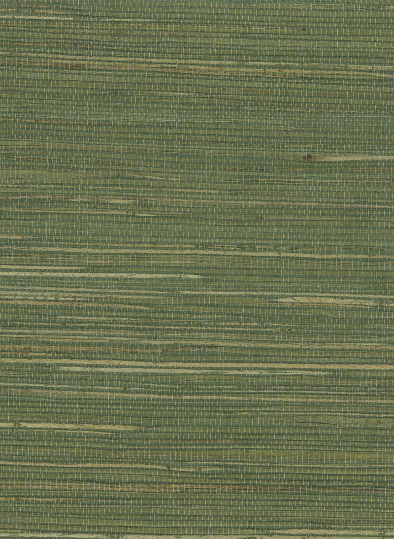 Hemp 1061 Dried Herb natural wallcovering swatch
