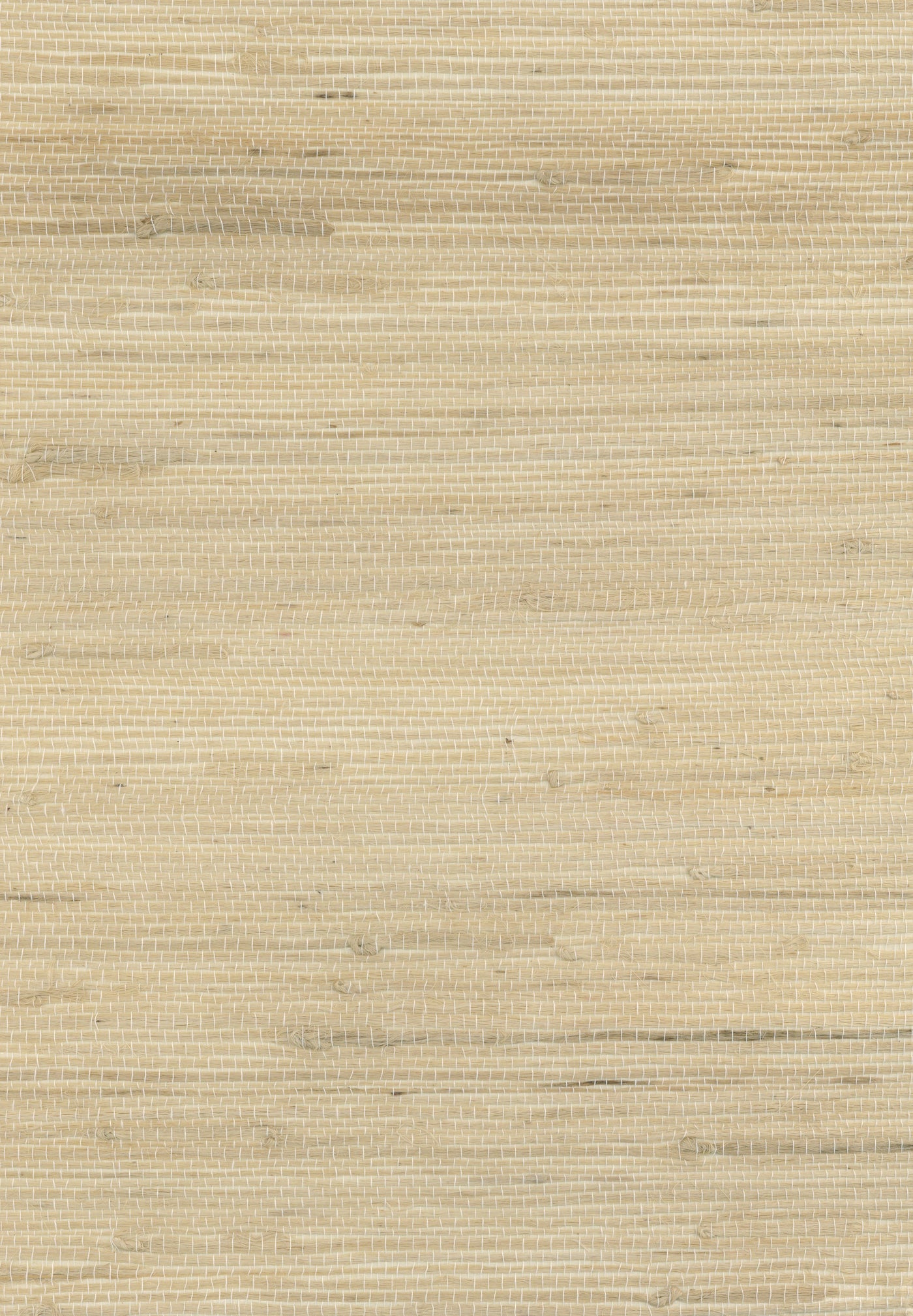 Jute 2041 natural wallcovering swatch