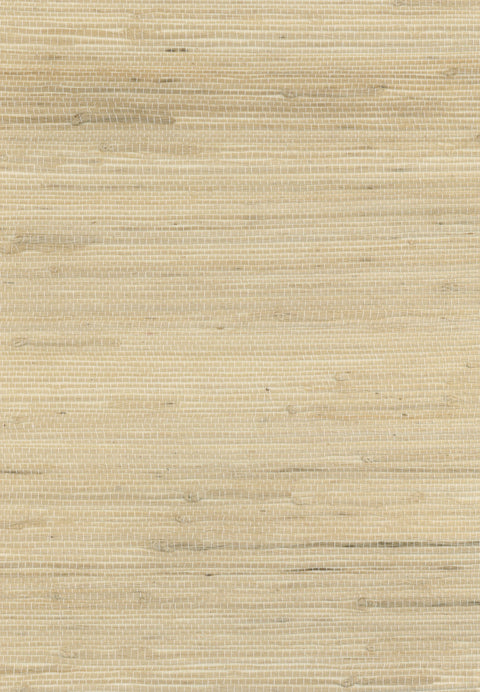 Jute 2041