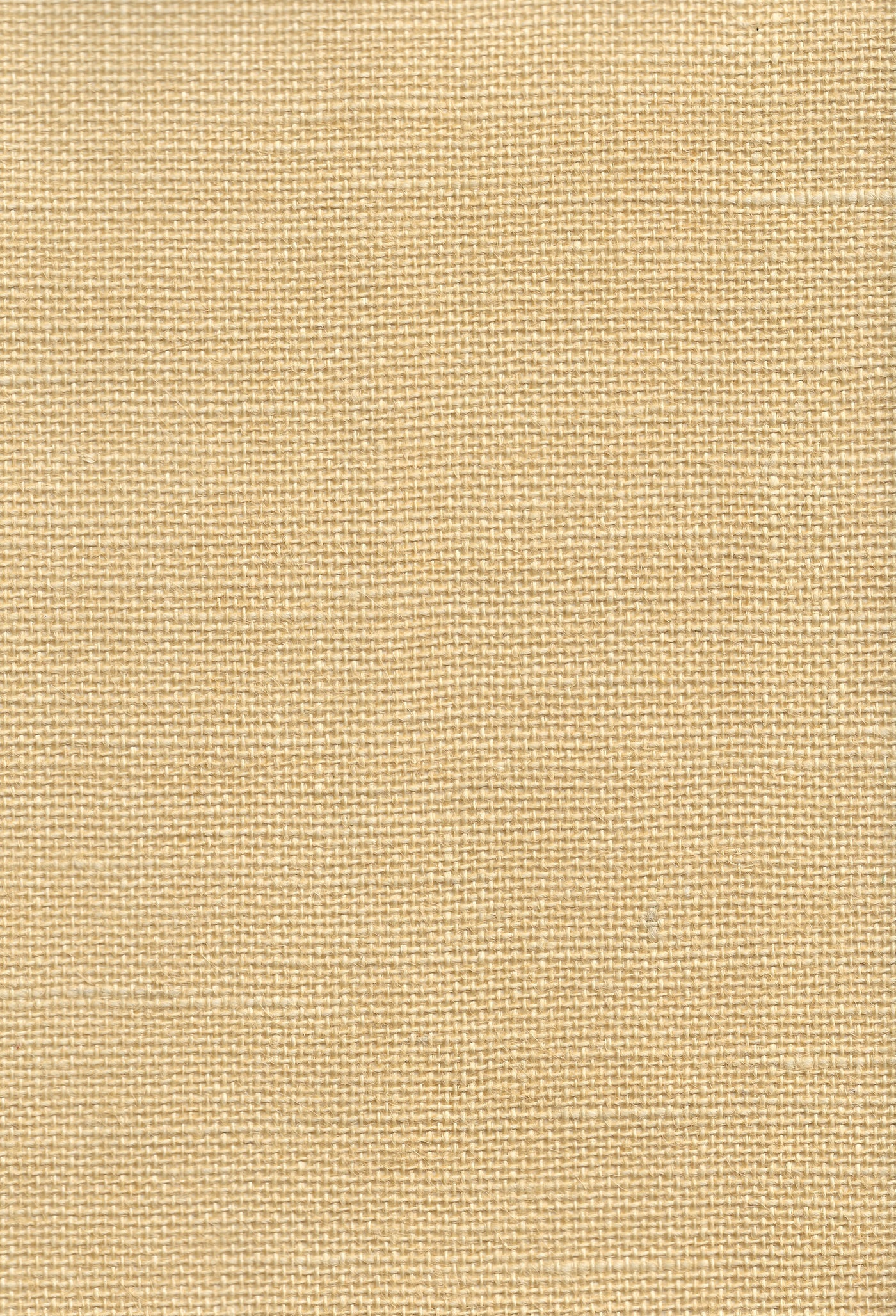 Jute 5107 Double Cream natural wallcovering swatch