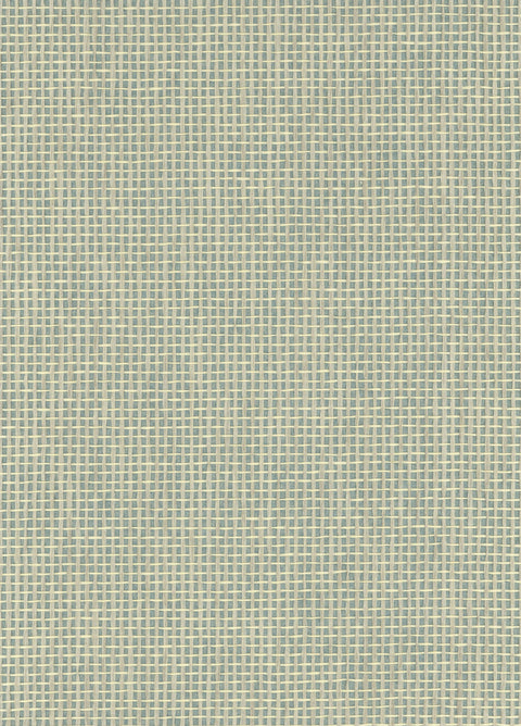 Paperweave 013 Lightskblue
