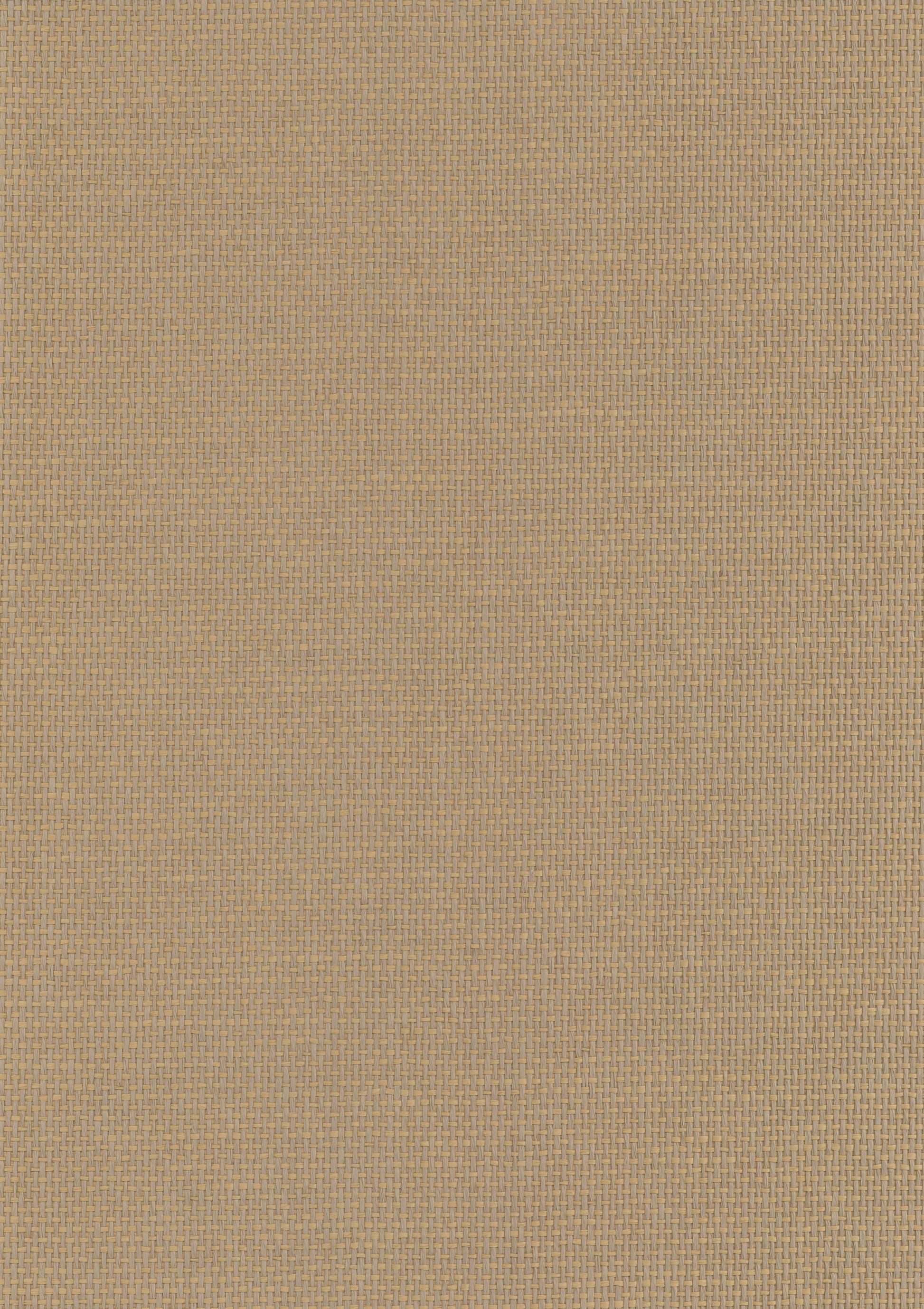 Paperweave 6004 natural wallcovering swatch