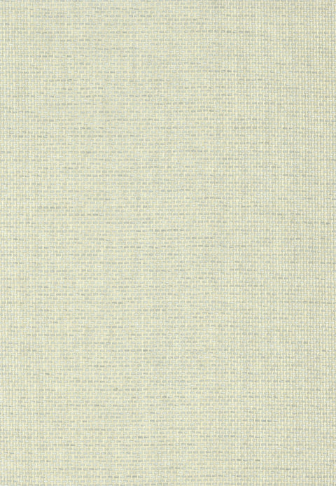 Paperweave 6028 Lcicle