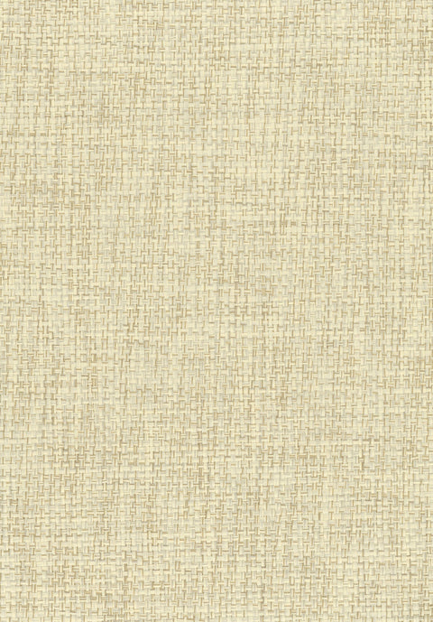Paperweave 6058