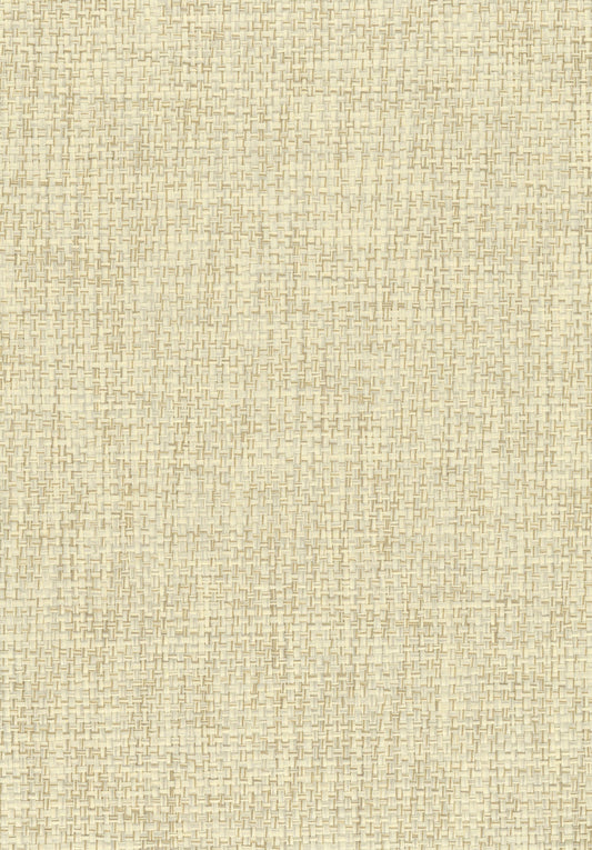 Paperweave 6058 natural wallcovering swatch