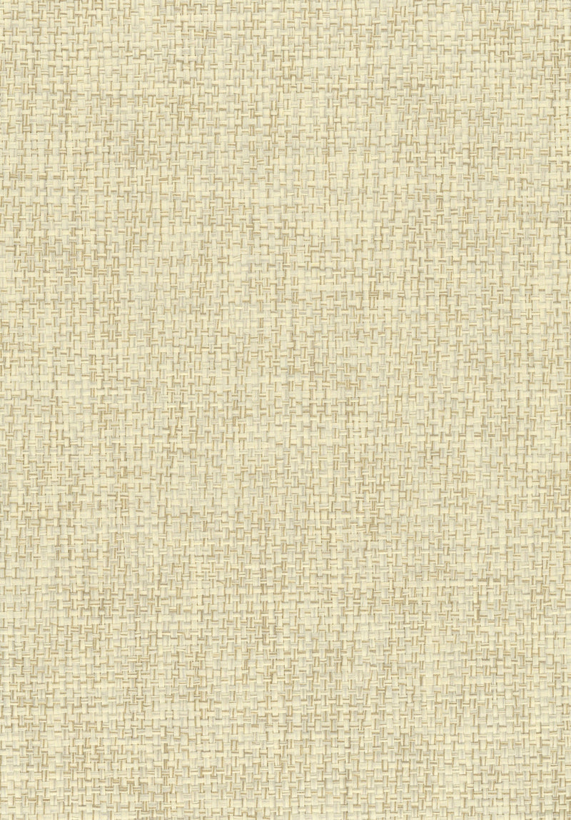 Paperweave 6058 natural wallcovering swatch
