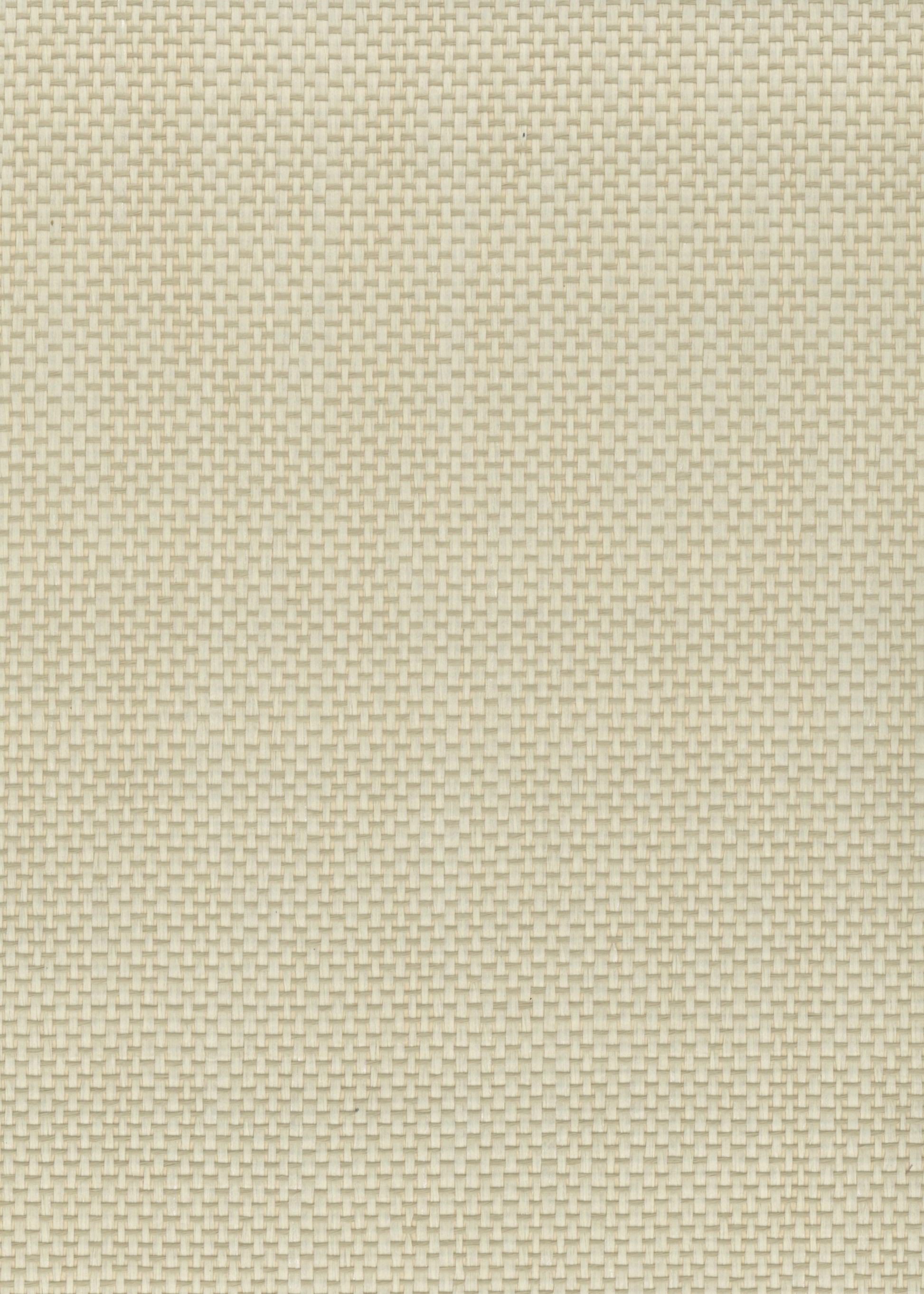 Paperweave 6104 Buff Buff natural wallcovering swatch