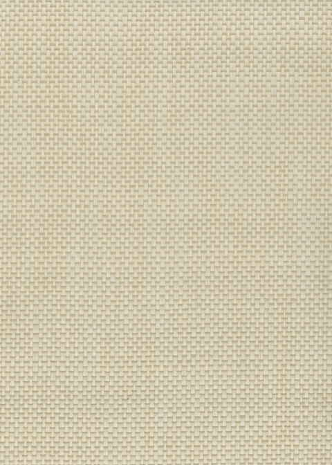 Paperweave 6104 Buff Buff