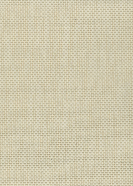 Paperweave 6104 Buff Buff natural wallcovering swatch