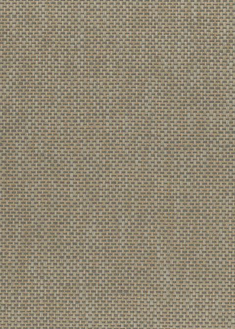 Paperweave 6108 Grass Cloth