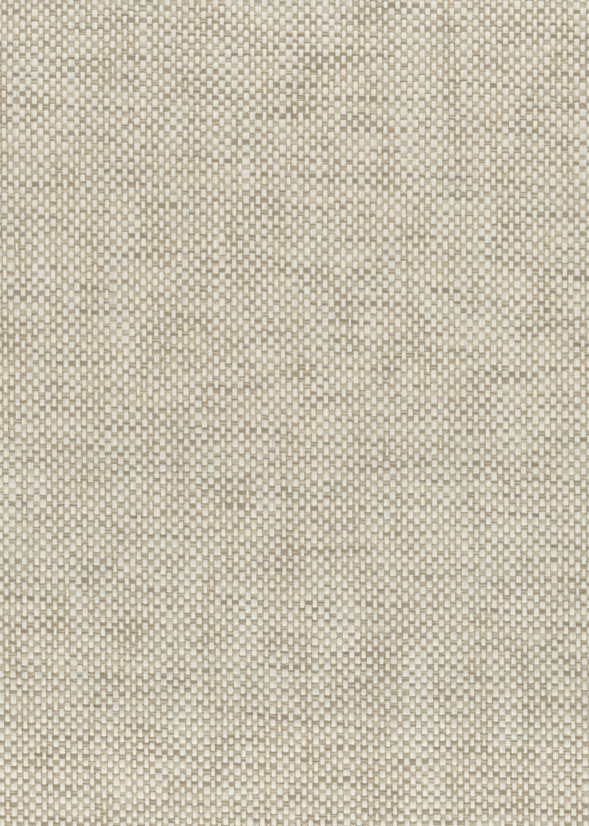Paperweave 6110 White Green natural wallcovering swatch