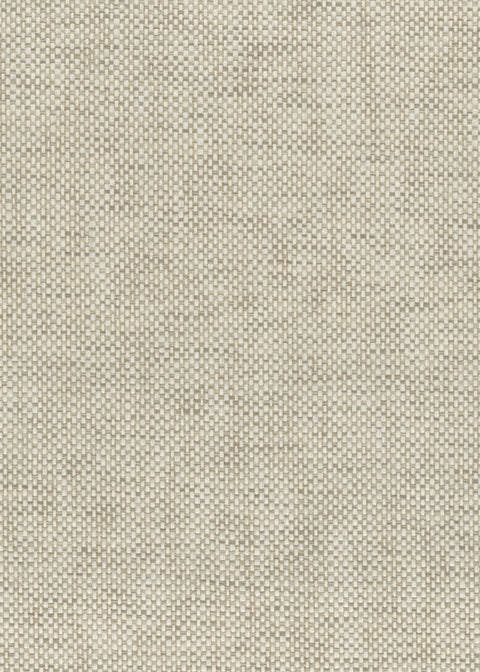 Paperweave 6110 White Green