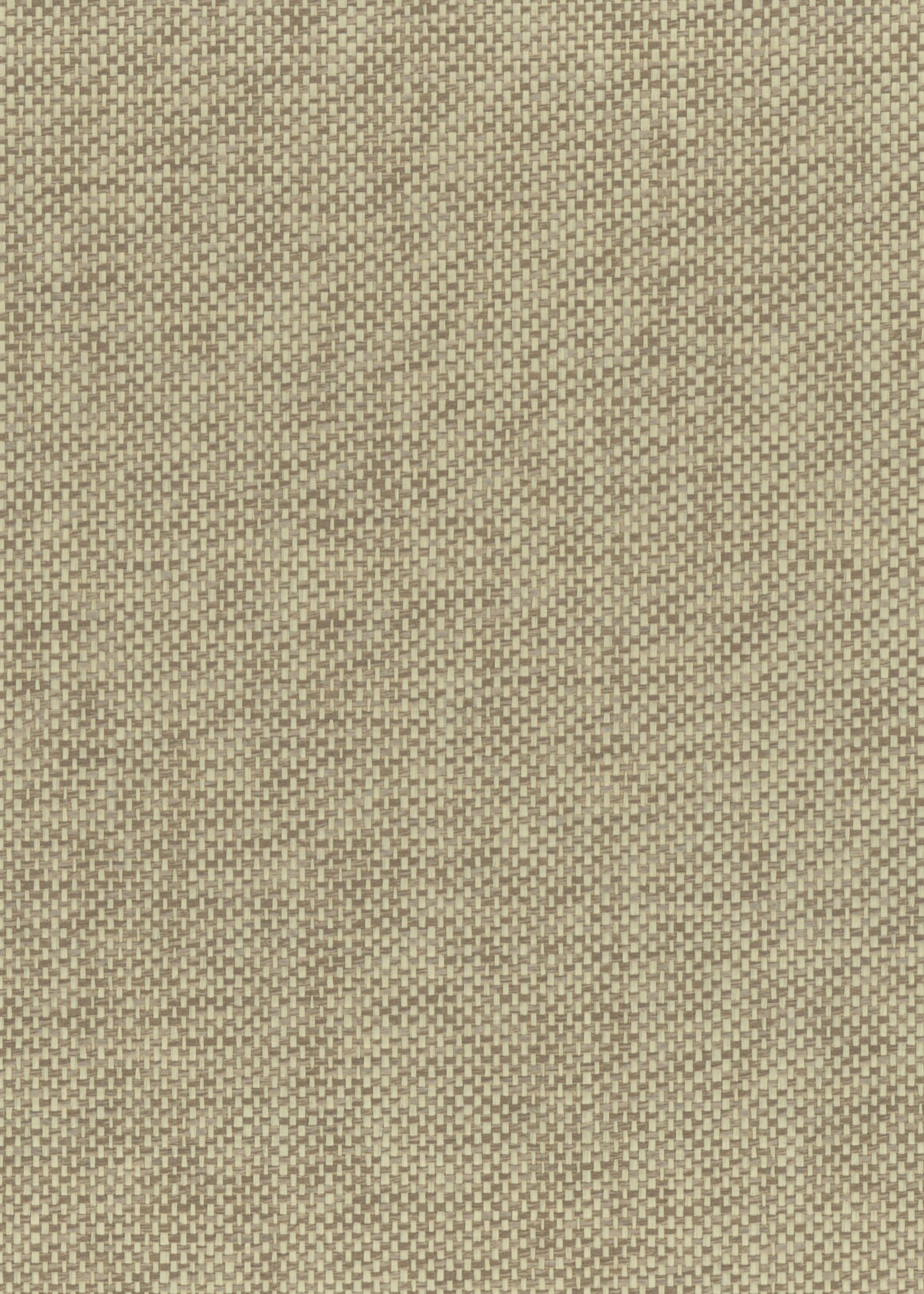 Paperweave 6113 natural wallcovering swatch