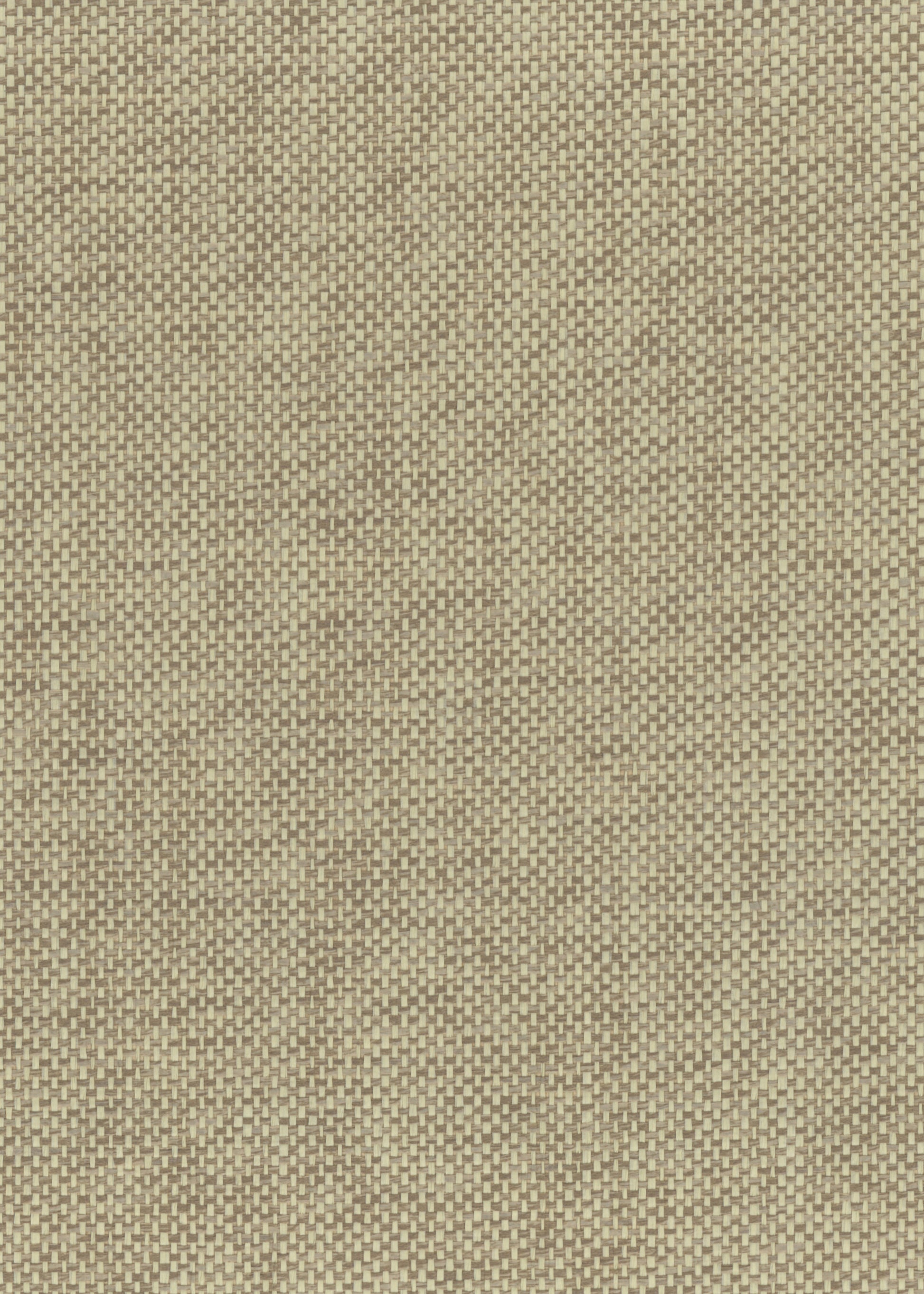 Paperweave 6113 natural wallcovering swatch