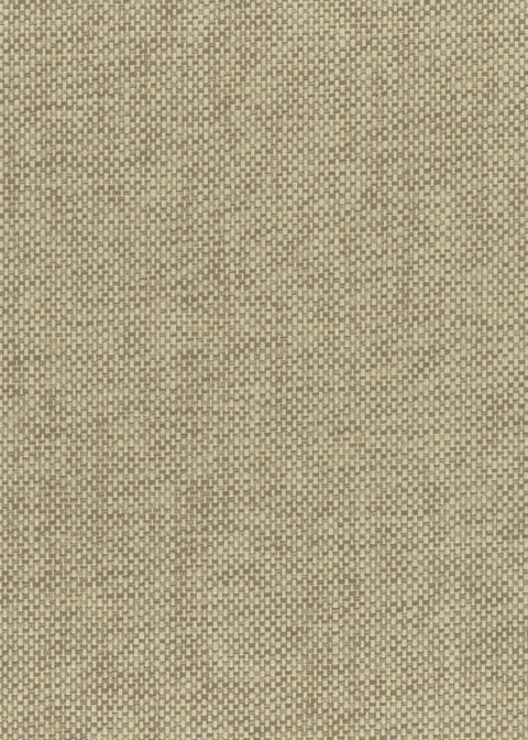 Paperweave 6113