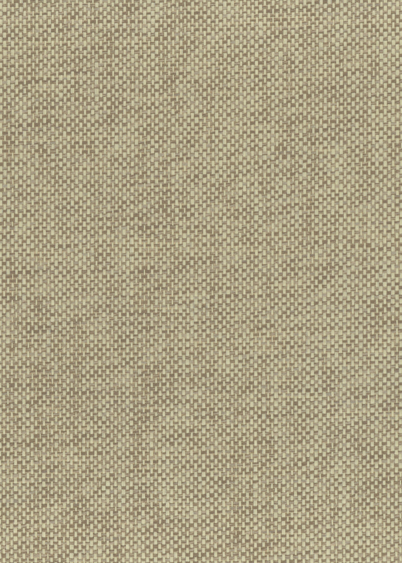 Paperweave 6113 natural wallcovering swatch
