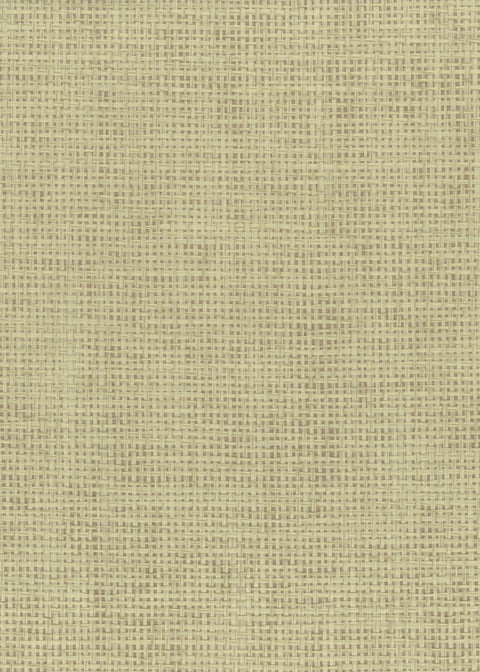 Paperweave 6121 Rustic