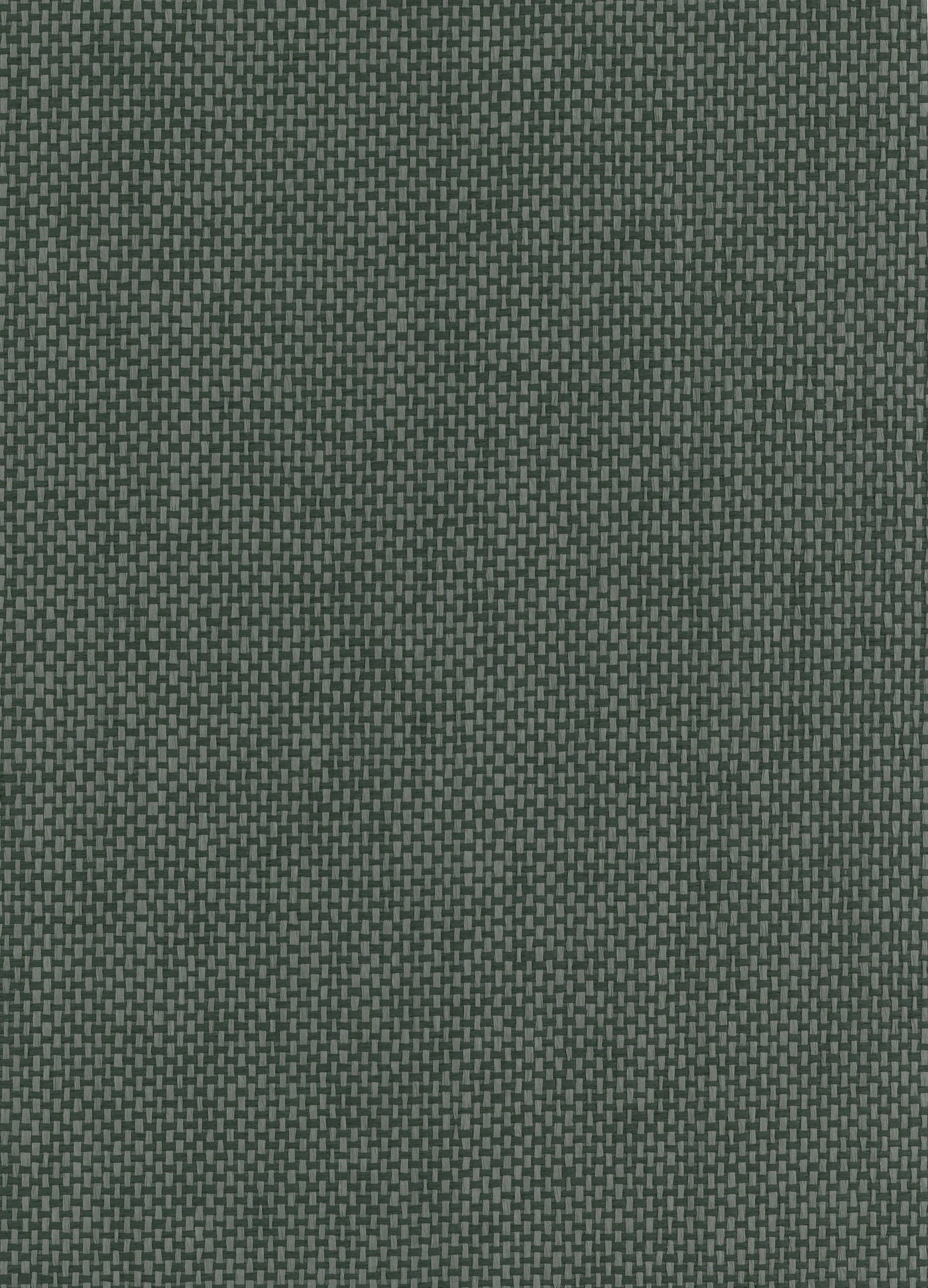 Paperweave 6138 Greyish Black natural wallcovering swatch