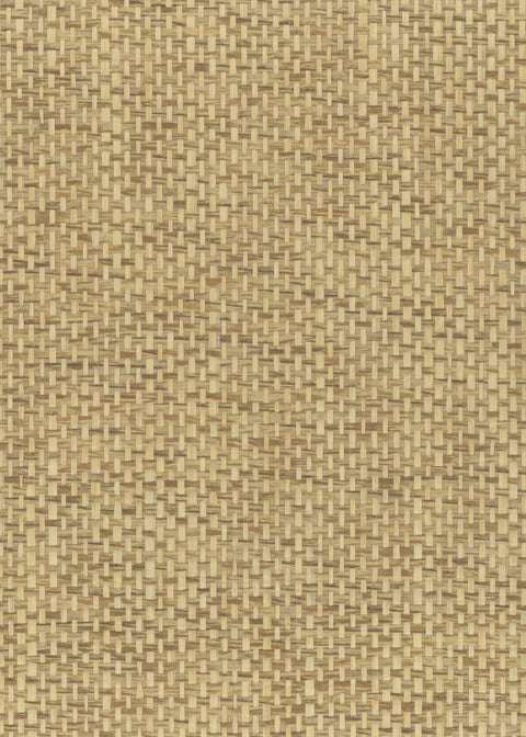Paperweave 6147 Natural Wood