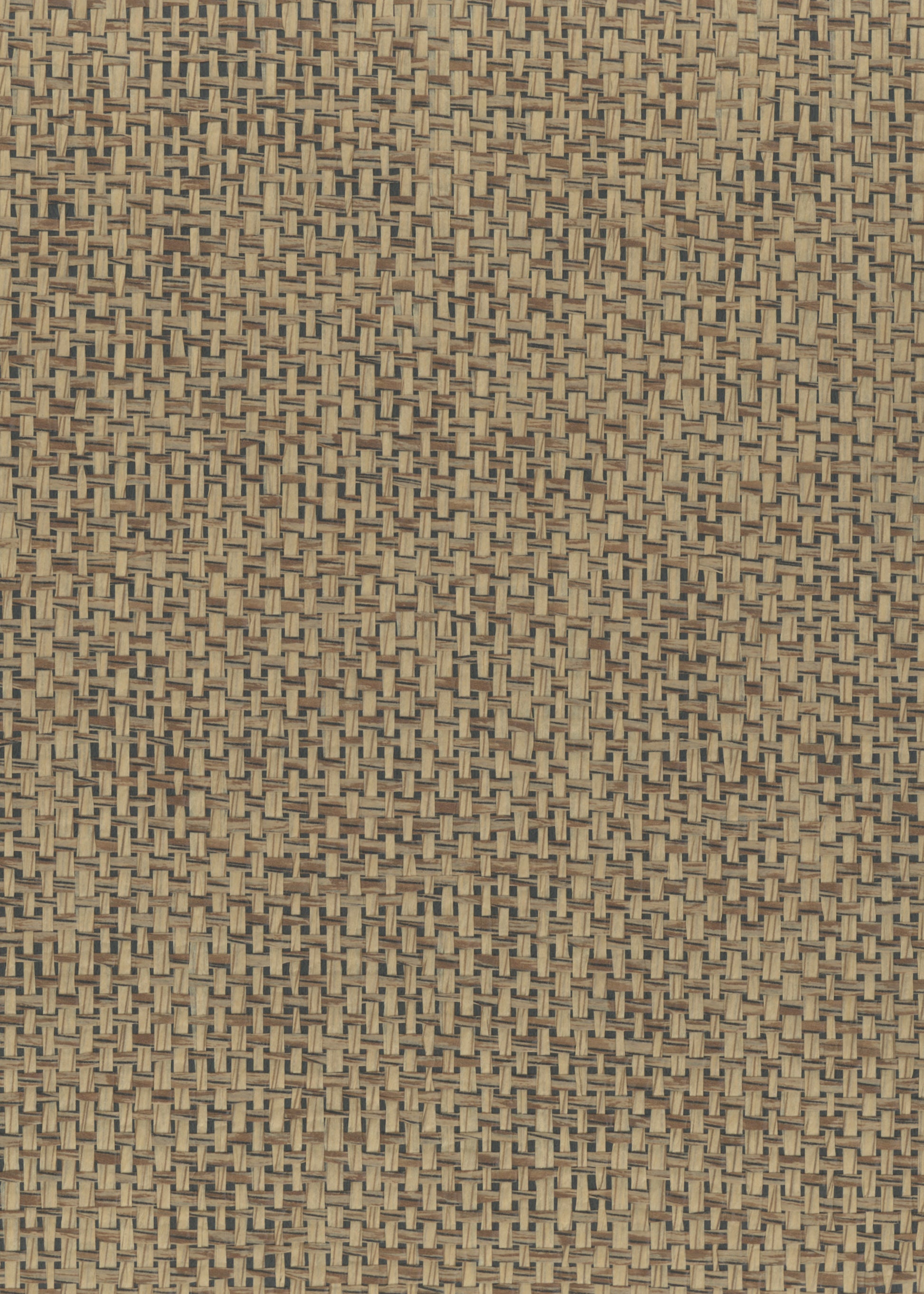 Paperweave 6158 Tannin natural wallcovering swatch
