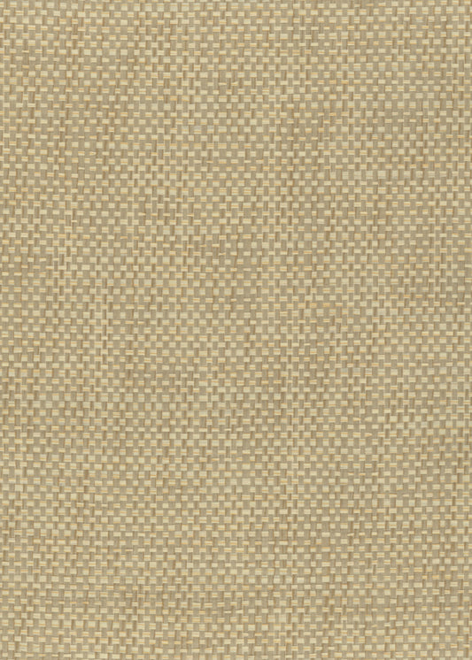 Paperweave 6284 natural wallcovering swatch