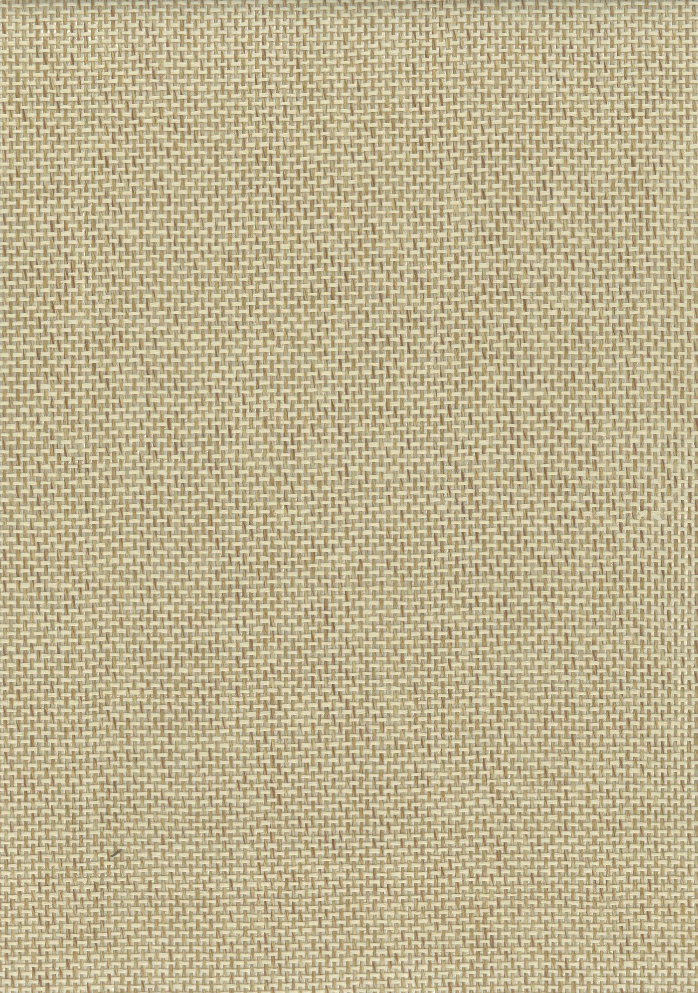 Paperweave 6501 Butter natural wallcovering swatch