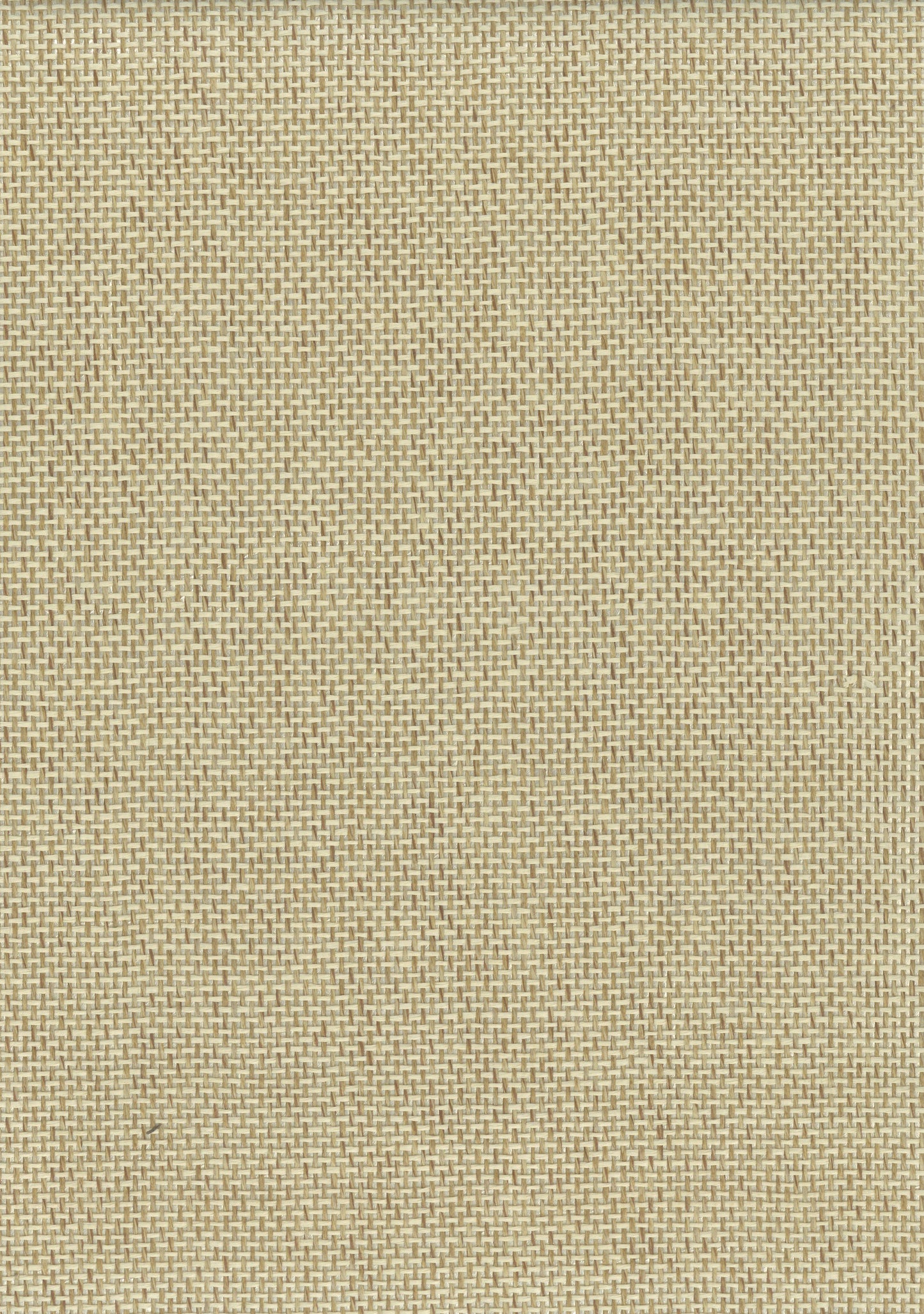 Paperweave 6501 Butter natural wallcovering swatch