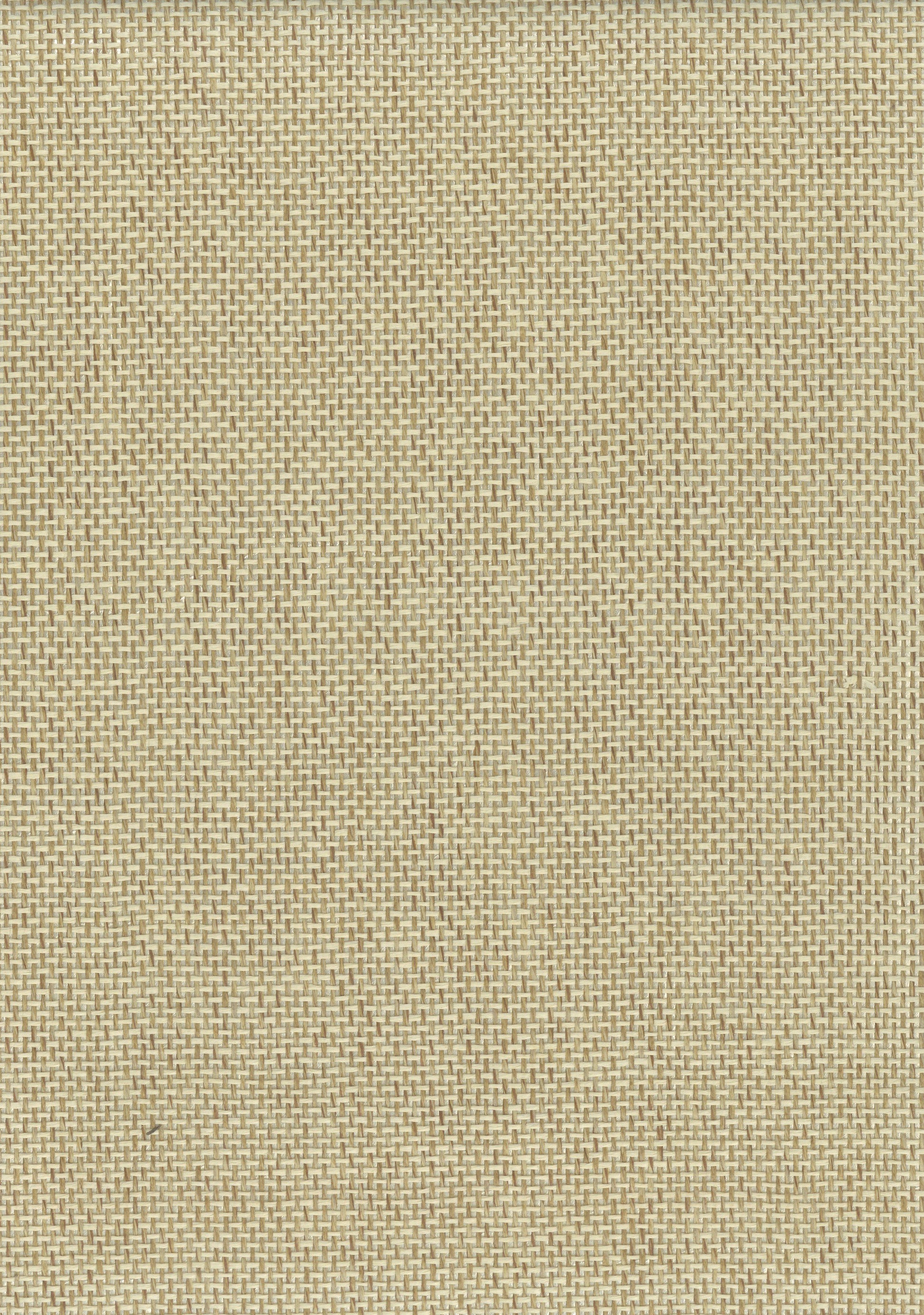 Paperweave 6501 Butter natural wallcovering swatch
