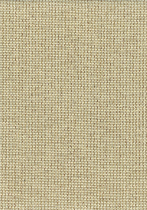 Paperweave 6501 Butter