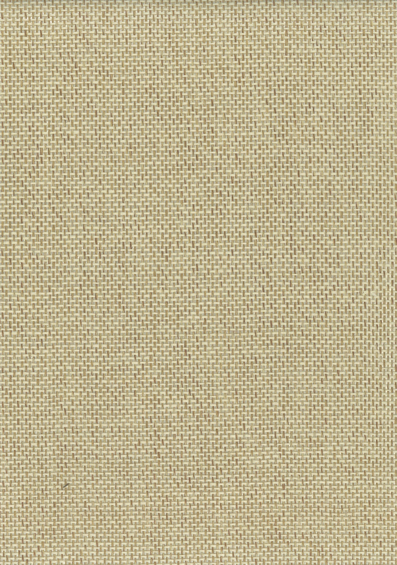 Paperweave 6501 Butter natural wallcovering swatch
