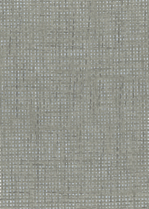 Paperweave 6537 Silver & Gray