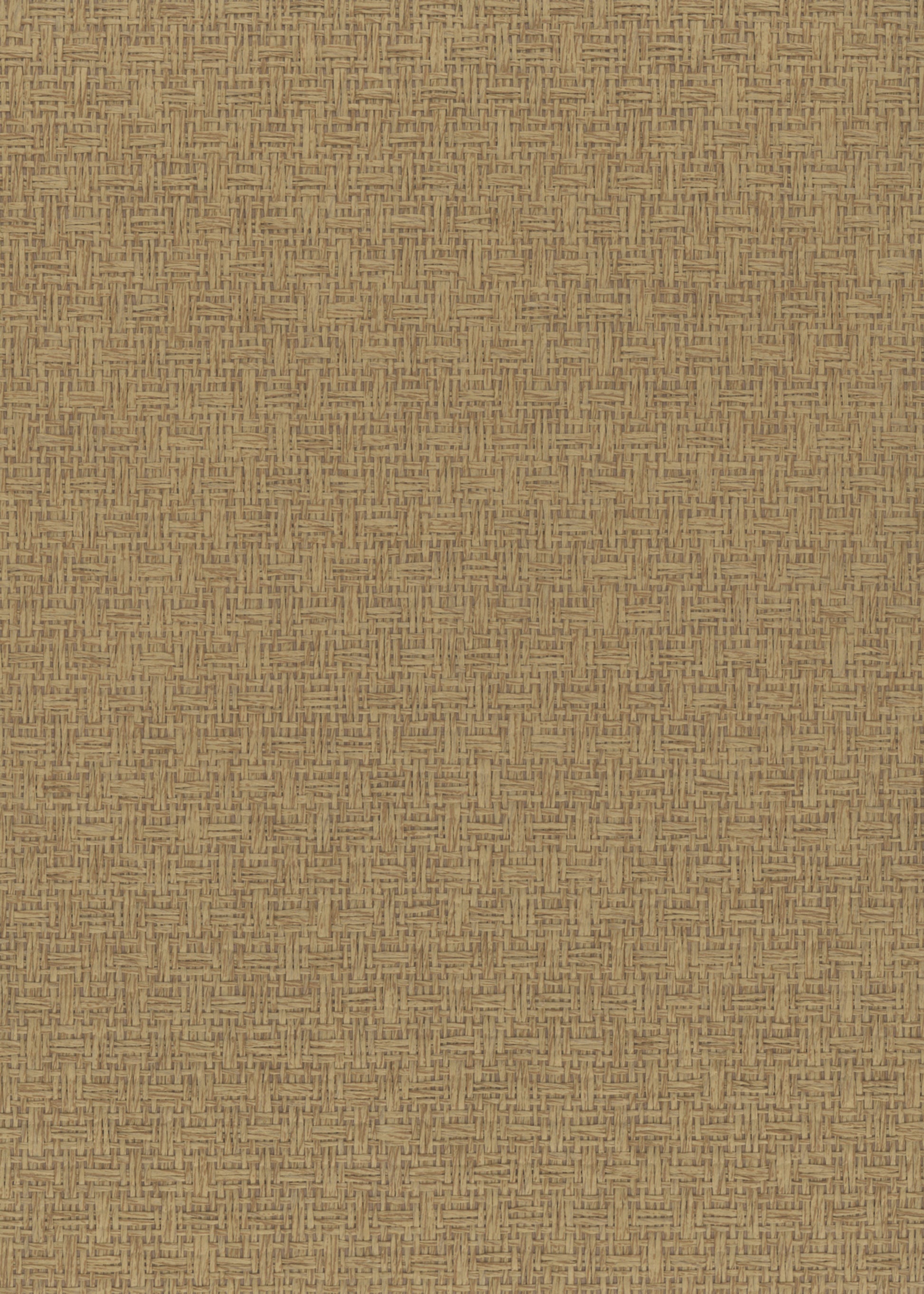 Paperweave 6606 Latte natural wallcovering swatch