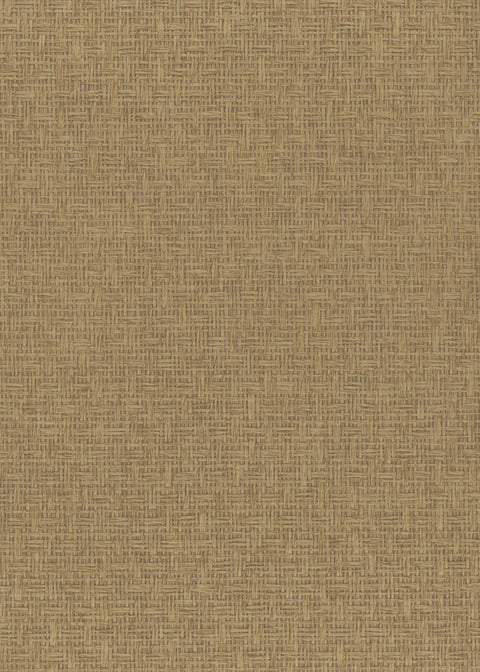 Paperweave 6606 Latte