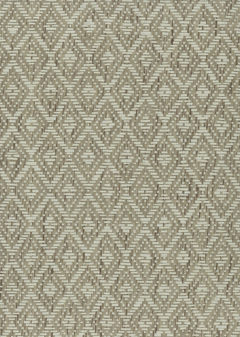 Paperweave 6664 Sea Green